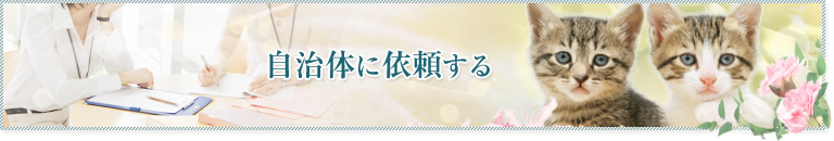 自治体に依頼する