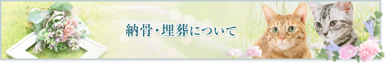 納骨・埋葬について